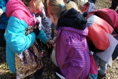 IMG_20190404_094327